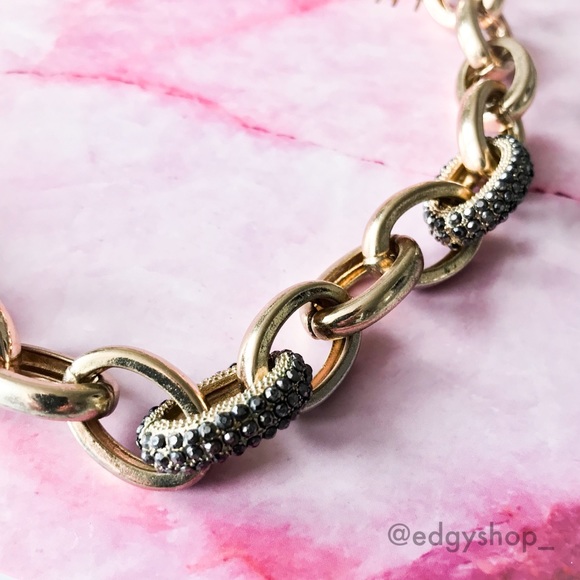 Express | Pave Embellished Cable Link Necklace - Picture 2 of 5